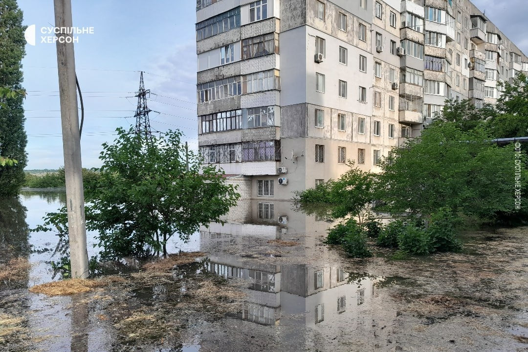 Миниатюра 4
