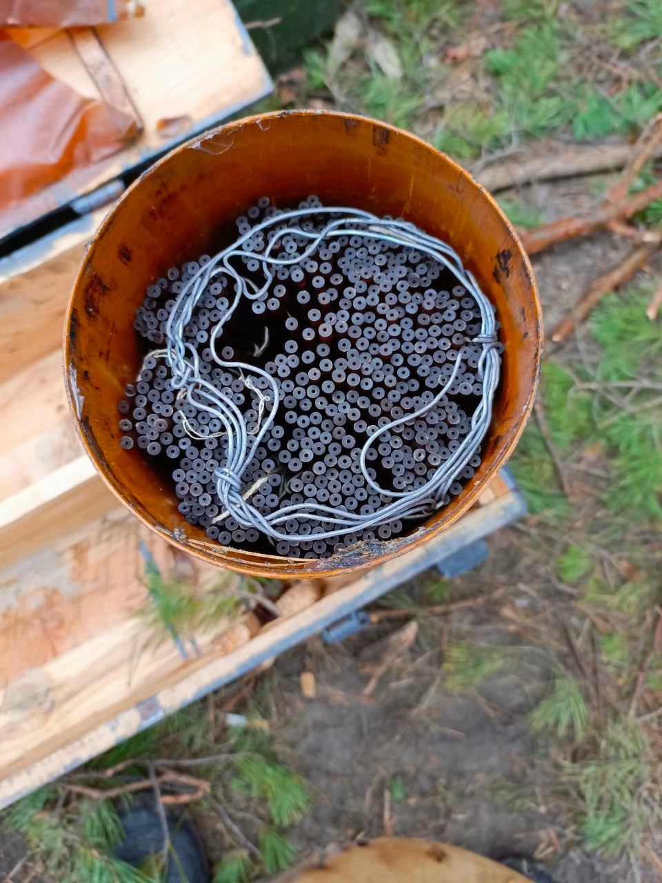 Изображение из галереи