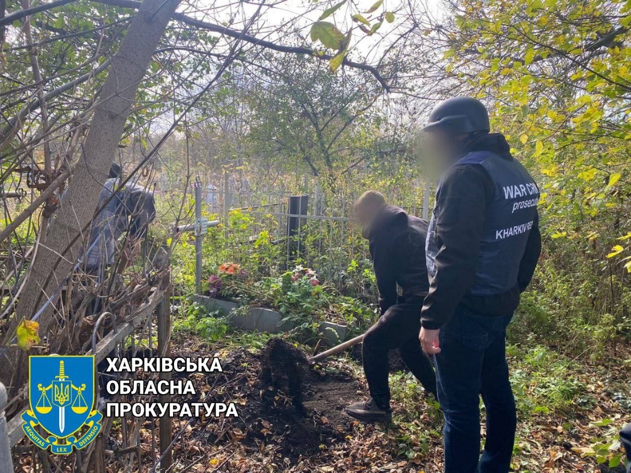 Изображение из галереи